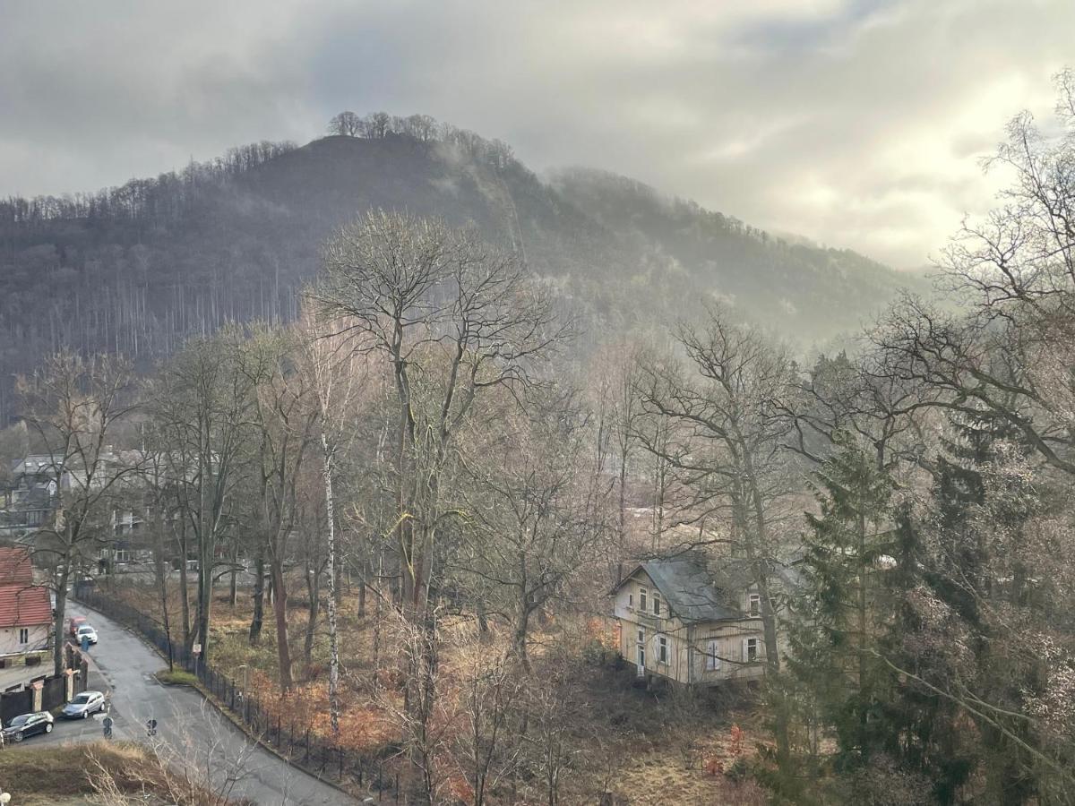 Appartamento Schwalbennest Bad Harzburg Esterno foto
