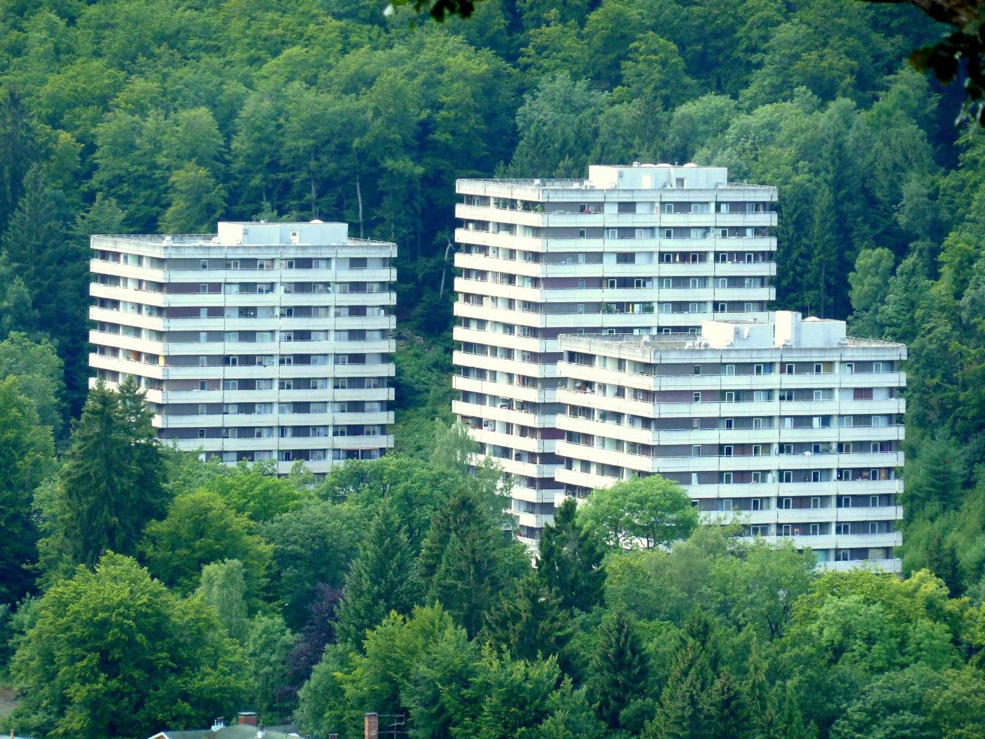 Appartamento Schwalbennest Bad Harzburg Esterno foto